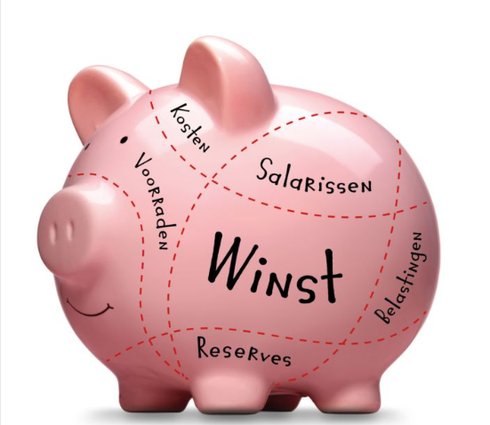 Spaarvarken verdeeld in kosten, salarissen, belastingen, reserves en winst (Profit First)